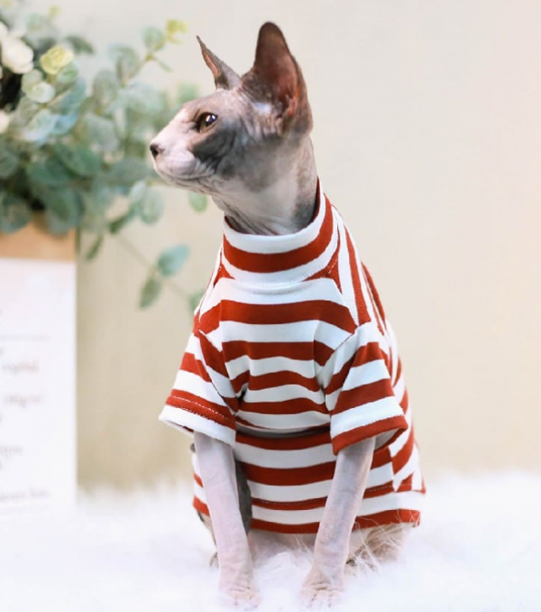 Baju kucing dengan motif garis-garis